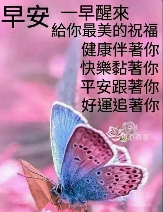 45753e5868034a0cb5a12d7a8a87803f.jpeg