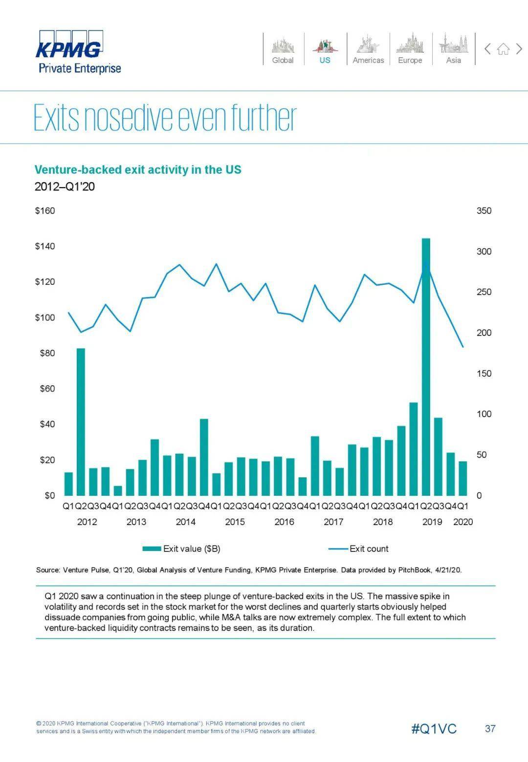 2020英国国第一季度g_英国短毛猫