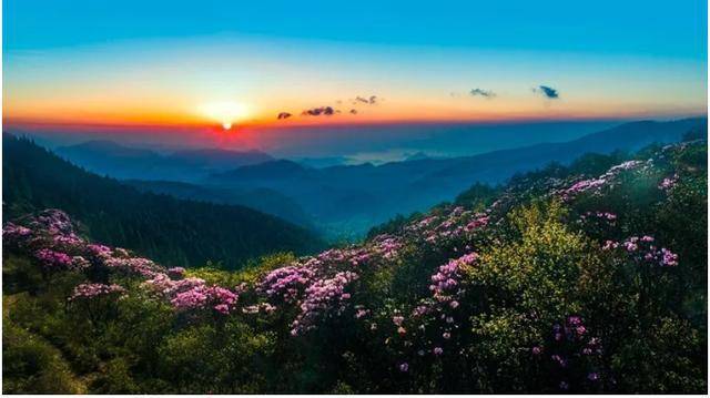 井冈山在吉安是个什么地方 71c822b5430246ffbd9fc9e4ec55d32d.jpeg