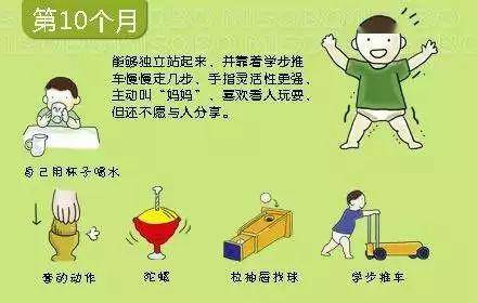 婴儿几个月会坐几个月会爬几个月会走 55e1d576e5b6412291202fb94be5aada.jpeg