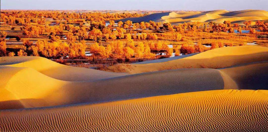 塔克拉玛干沙漠,是中国最大的沙漠,也是世界第十大沙漠,同时亦是世界