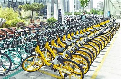 共享单车停哪里都可以停吗 929a4037d60a4b7595fed467c8bc21dc.jpeg