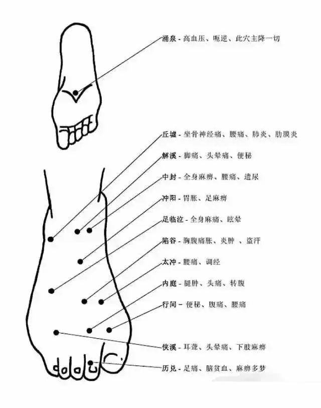 非常完整的人体穴位图与功效