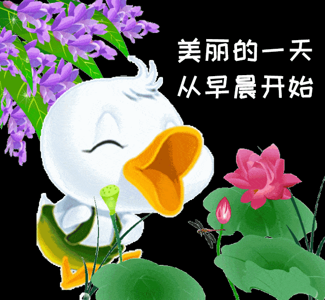 漂亮最美早安问候表情图片带字唯美,最新早上好问候祝福语短信