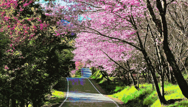 海安微教育艺绘初夏东洲公园你画起来真好看