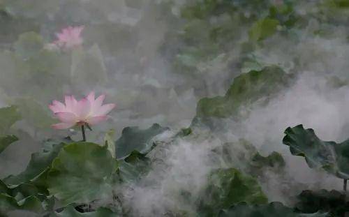 黑鸭子组合《雾里看花》唯美和声,动人天籁!