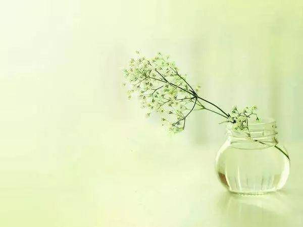 81990ff584cd4c4180335da836f44a7f.jpeg