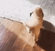 每日一笑,怎样才能受女孩子欢迎