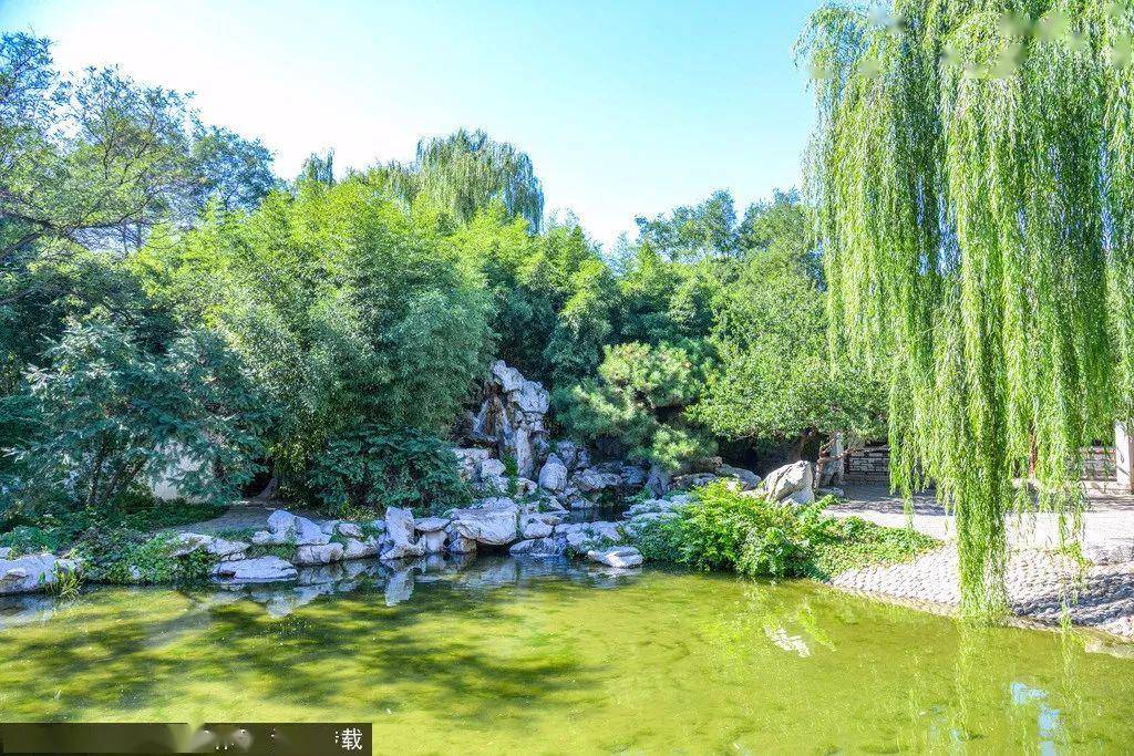 北京这个公园绿树成荫,风景雅致,关键还