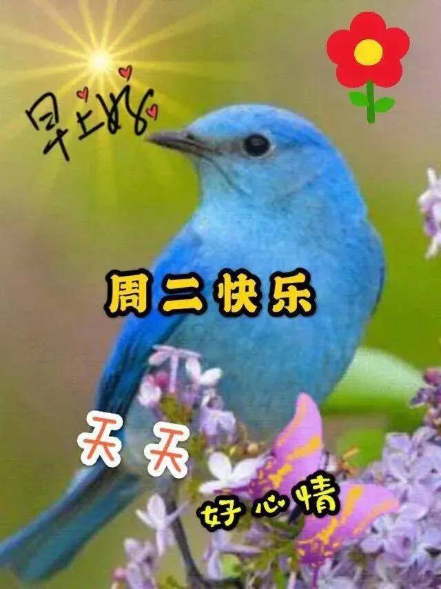 5月27日周三清晨早上好问候祝福动态表情图片