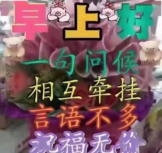 5月28日最新版早上好暖心问候语特别漂亮早上好表情图片带鲜花