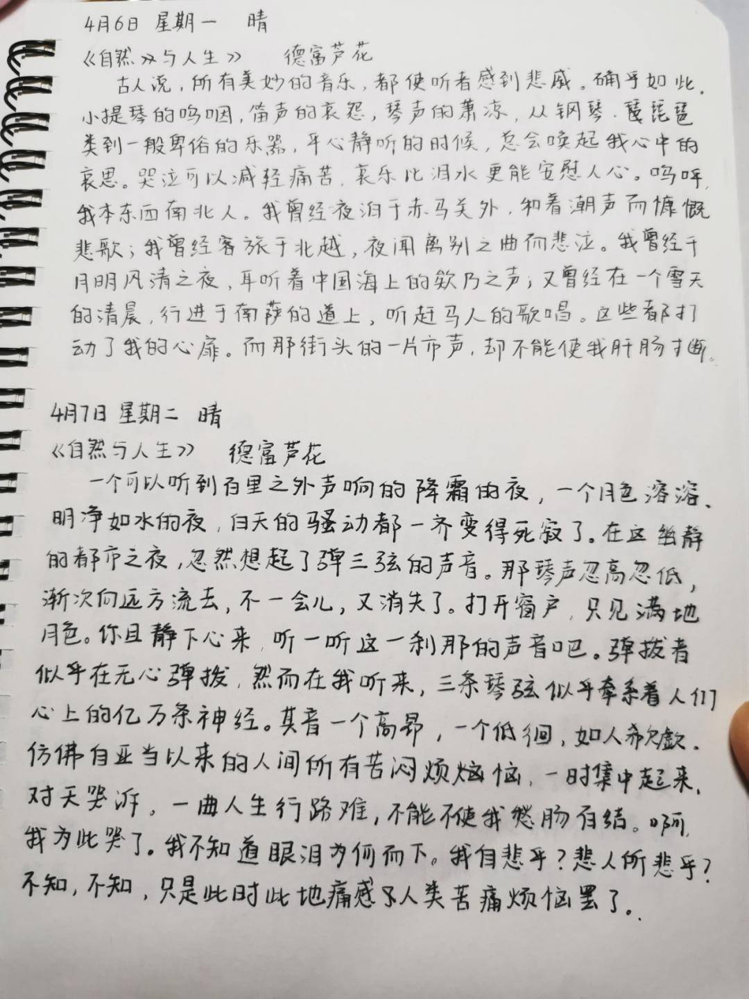 豫剧风凄凄月清清烛影相伴曲谱(3)