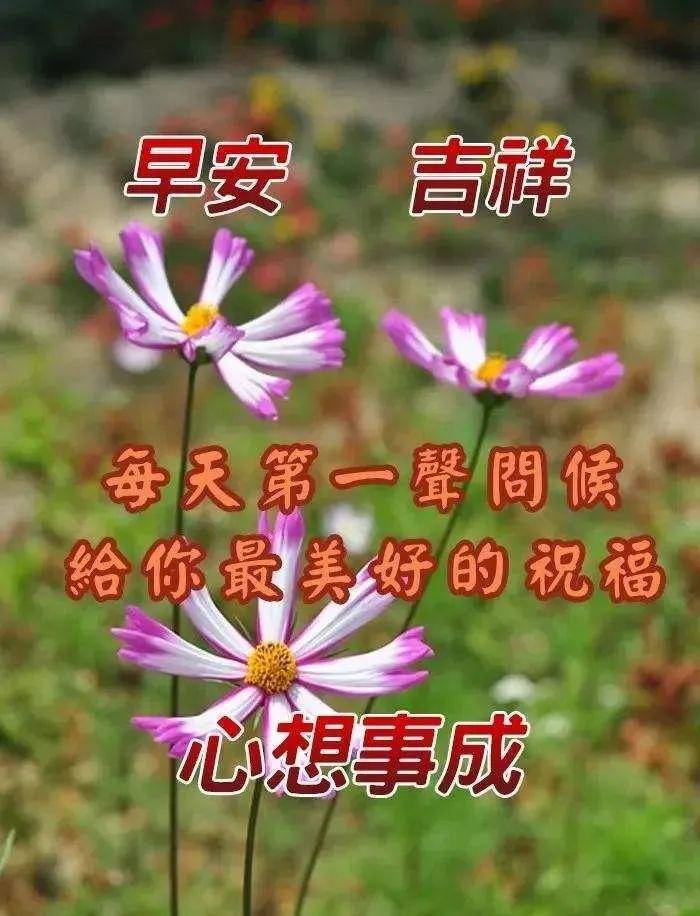 7张早上好祝福语图片推荐,早安图片带字带问候语