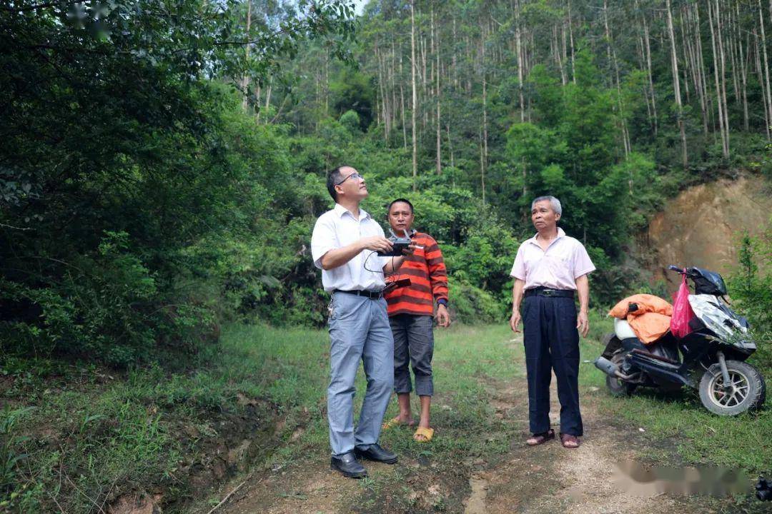 在阳山县太平镇,竟藏着一座绝美的,不为人知的水库,如此美的地方你