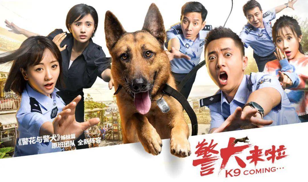 那些与警(军)犬有关的影视片----国内篇(更新版)_警犬