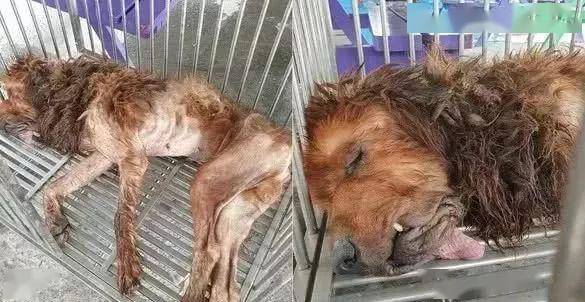 丢弃的老被子 59ec530967d444d8b042578d5e72404c.jpeg