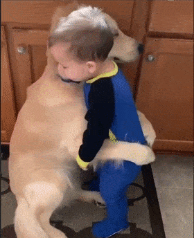 小女孩和狗狗默契合作偷零食,画面萌哭网友:请问这种狗狗包分配