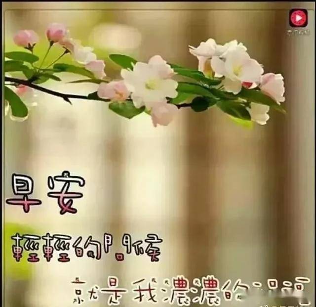 青山绿水依然在,来来往往人不同,要学会看得惯,还要