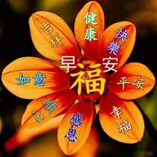 最美早上好问候语图片带字 2020最美丽的早上好图鲜花