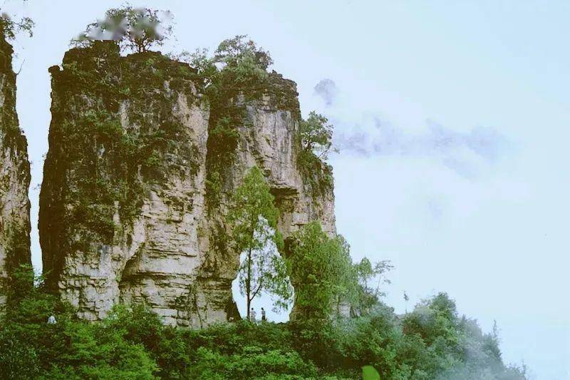 保康多少人口_保康聚龙山海拔是多少(3)