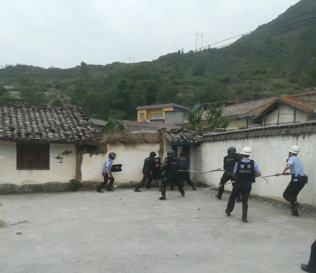 越西县公安局成功处置一起精神病人 危害公共安全事件