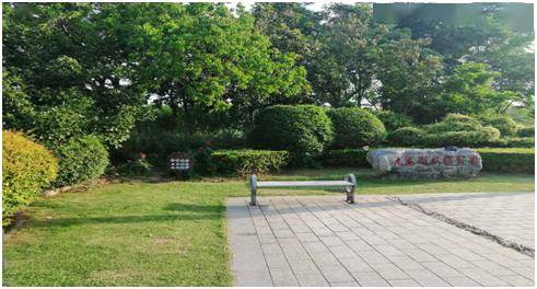 徐州最美公园 0681d9925b2544538c91ebc789fefc1f.jpeg