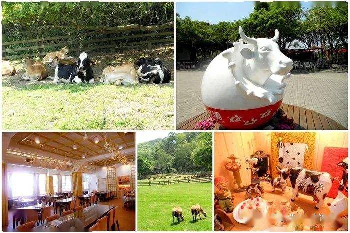 开云体育 Kaiyun.com 官网入口休闲农业第2问：为什么说休闲农业必须要农旅“有机”结合？(图6)