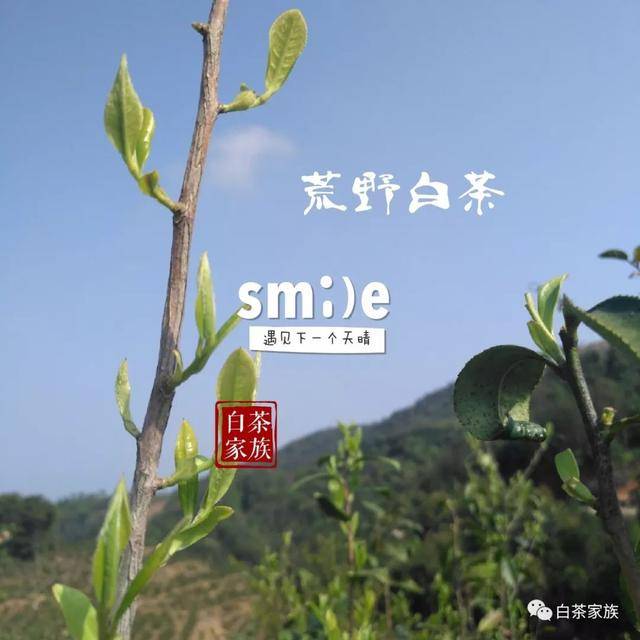 刘乐小城故事曲谱(2)