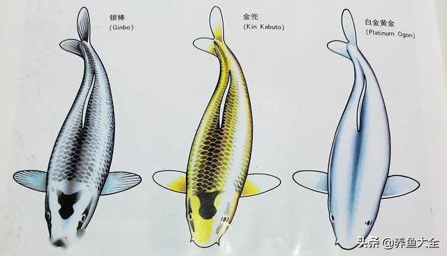 ����5��Ʒ�ֽ���