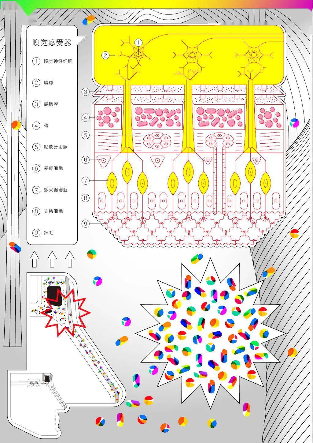 文章配图-21
