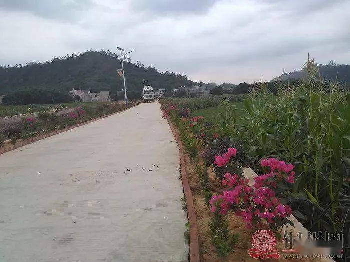 六靖龙湾村:乡村振兴,这里的风景独好