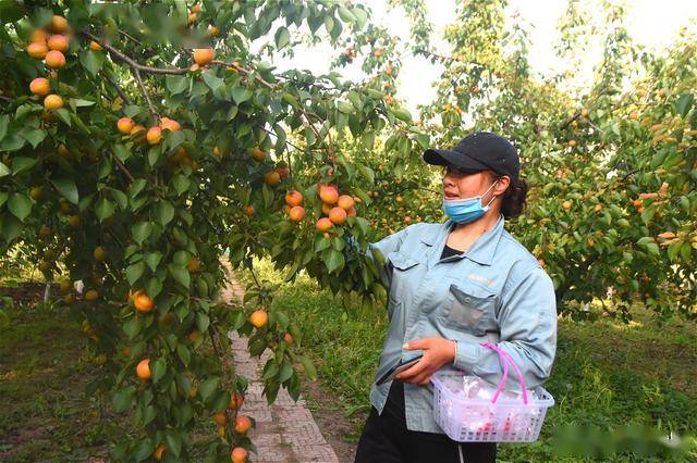 开云体育 Kaiyun.com 官网入口风靡农村的休闲农业被奉为“摇钱树”警惕美国模式下的陷阱(图2)
