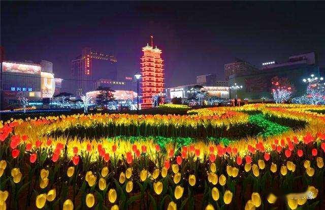 2020年郑州二七区小_祝贺!二七区春晖小学惊艳“2020郑州市中小学跆拳道