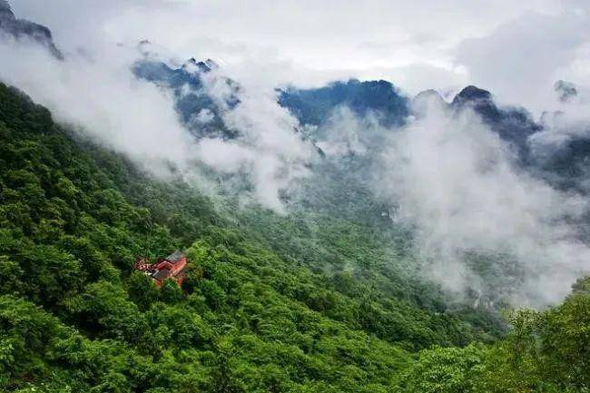 【天留山丨薰衣草庄园】6月6/7日丨享山野清风,坠入夏日的紫色浪漫