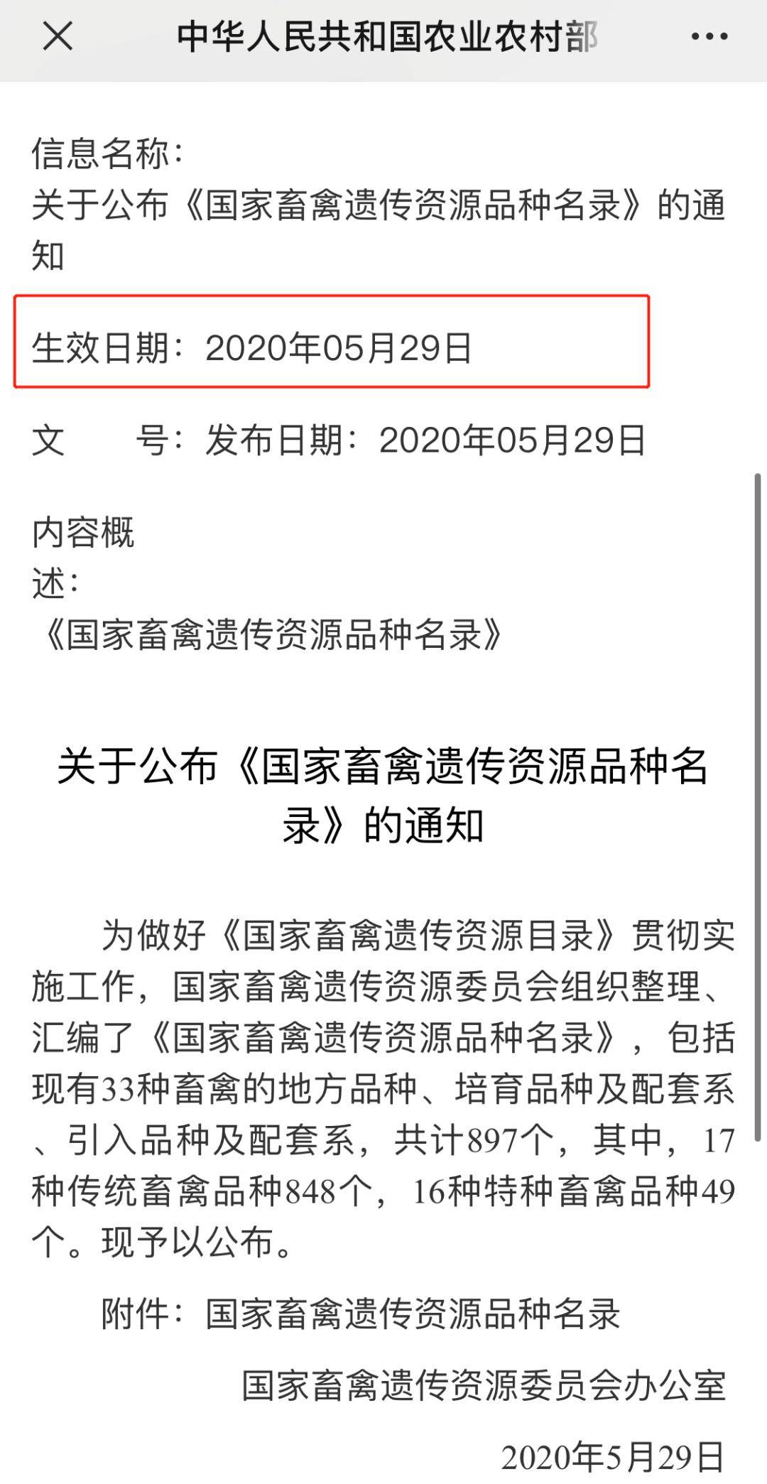 重磅！禁食猫狗的法案通过了！我国已全面禁食猫狗！