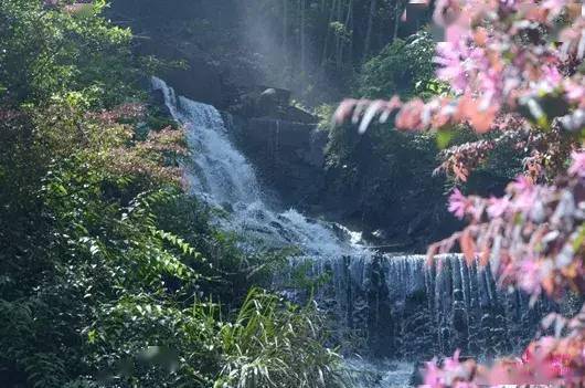 "网游张家界"|"花果山水帘洞"——宝峰飞瀑