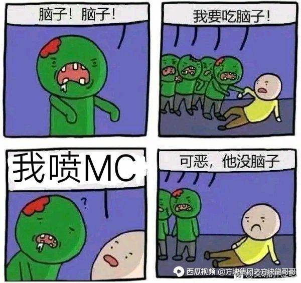 玩迷你骂mc的都是不爱国的不要脸的