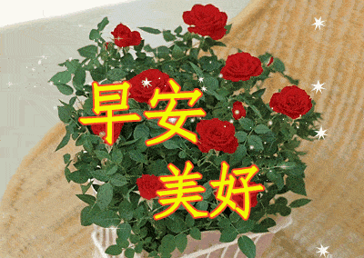 2020夏天问候大家早上好图片带字动态表情,问候早晨好祝福语短信图片