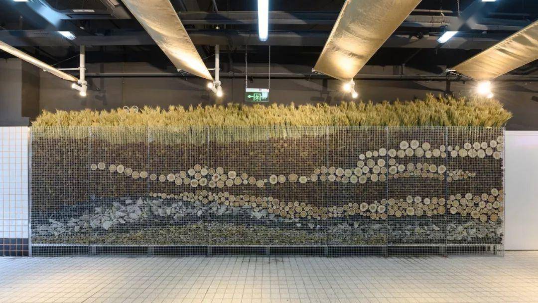 菜市场的GDP_菜市场简笔画