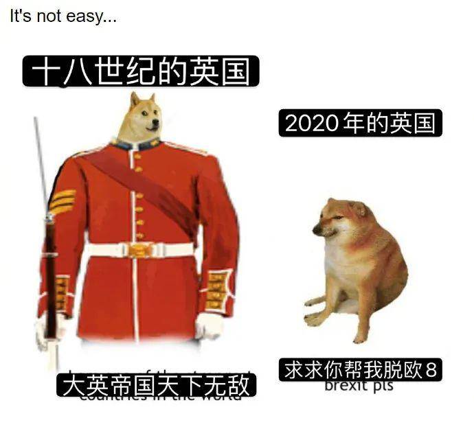 7d01292495bc4fd38248efb51cc93113.jpeg