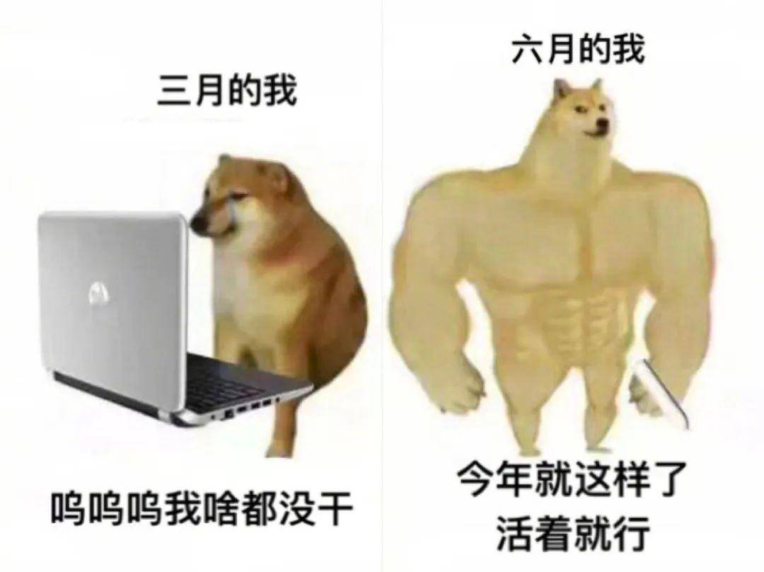 肌肉doge与小废狗梗图