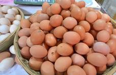 鸡蛋是红皮好还是白皮好？听营养专家一分析，以后别再被误导了