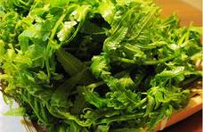 做“蕨菜”多做这一步，爽脆可口，巧吃野菜安全放心