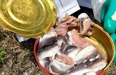 一年吃掉800吨！奇臭无比的鲱鱼罐头，瑞典人为什么那么爱吃？