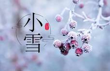 11月22日小雪，无论贫富，记得吃“3白和3黑”，应季美味，身体棒