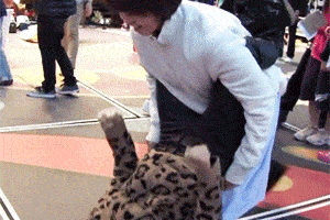 搞笑gif:这婚我不结了,谁爱结谁结!