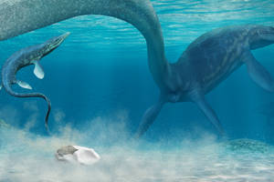 科学家确认白垩纪"海洋霸主"沧龙的蛋化石