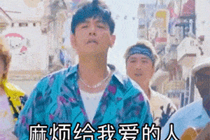 抖音超火的猫咪摇头表情包