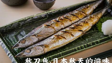 快被日本人吃到灭的秋刀鱼，有多好吃