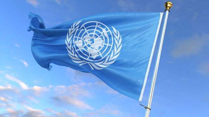 美国应该接受安理会的调查吗?